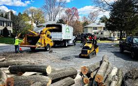 Orchards, WA Tree Removal Company